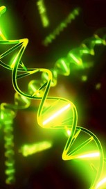 Yin and Yang Witch Eyes