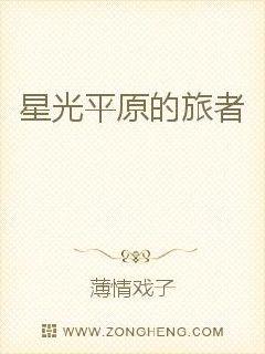 Traveler of Starlight Plains