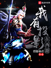 I have projections in Journey to the West