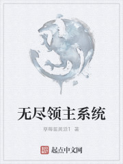 Endless Lords system