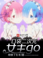 Pocket two-dimensional female protagonist go