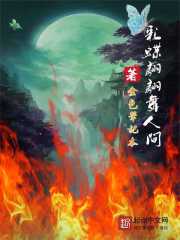 Colorful butterflies dance in the world