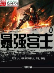 The strongest palace master