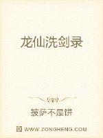 Dragon Immortal Washing Sword Record