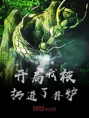 At the beginning, I was thrown into the Dan furnace