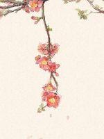 Female sect male disciples