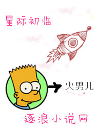 The first interstellar arrival