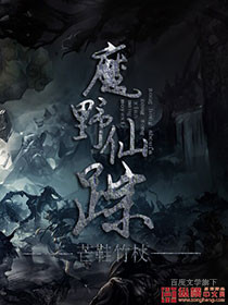 The Wizard of Wonder