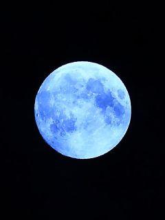 Flowers bloom to defend the city