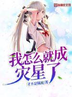 How did I become a disaster?