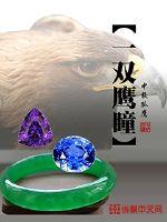 A pair of eagle eyes