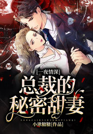 One Night Stand: The President's Secret Sweet Wife