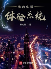 My life experience system