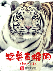 Beast live broadcast room