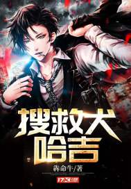 Search and rescue dog Haji