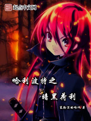 Harry Potter: Dark Holly