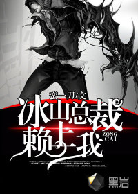 The president of Iceberg relied on me