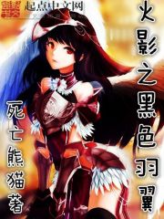 The black wings of the Hokage