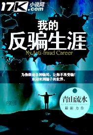 My anti-fraud career