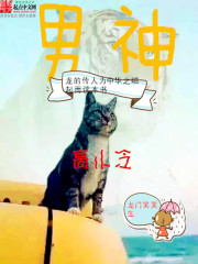 The male god Gao Xiaoleng