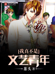 I'm really not a literary youth