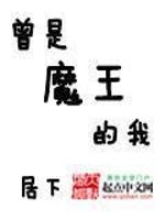 I used to be a demon king