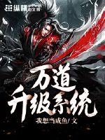 Wandao upgrade system