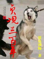 Zhenguan for three hundred years