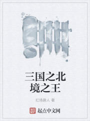 King of the North of the Three Kingdoms