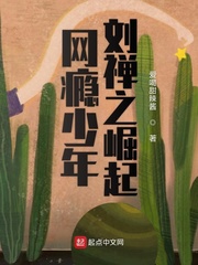 The rise of Internet addicted teenager Liu Chanzhi