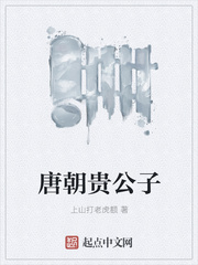 The noble son of the Tang Dynasty