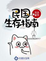 Republic of China Survival Guide