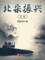 Northern Song Dynasty revitalization strategy