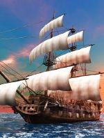 Ming rises and falls