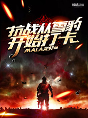 The Anti-Japanese War began with the snow leopard