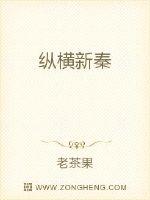 Vertical and horizontal new Qin