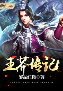 Biography of Wang Mang