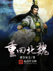 Return to the Northern Wei Dynasty