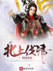 Went north to attack the Qing Dynasty