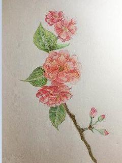 Abandon the fairy road