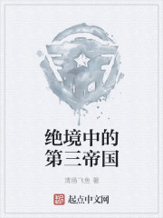 The Third Reich in a desperate situation