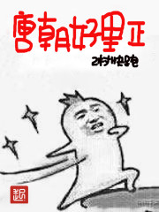 The Tang Dynasty was good