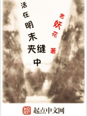 Living in the cracks of the late Ming Dynasty