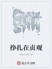 Struggling in Zhenguan