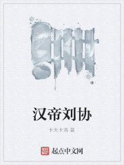 Emperor Liu Xie of the Han Dynasty