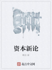 The New Theory of Capital