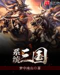 System Three Kingdoms