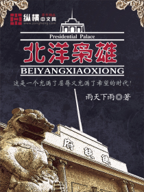 Beiyang Hero