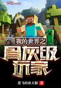 A hardcore player of Minecraft