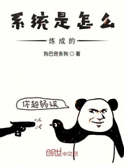 How the system is made